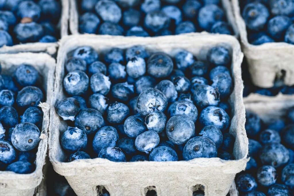 gut-health-blue-berries