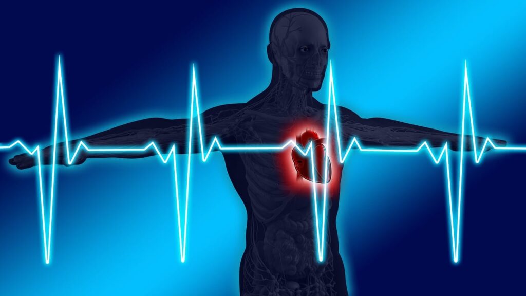 heart health and low testosterone