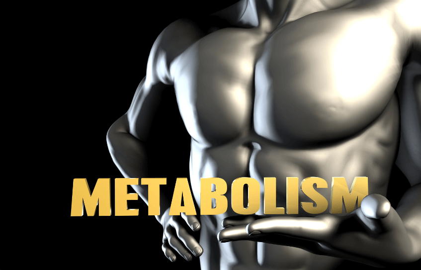 testosterone and metabolism